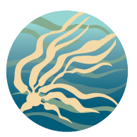 2025 Feiro Making Waves - logo