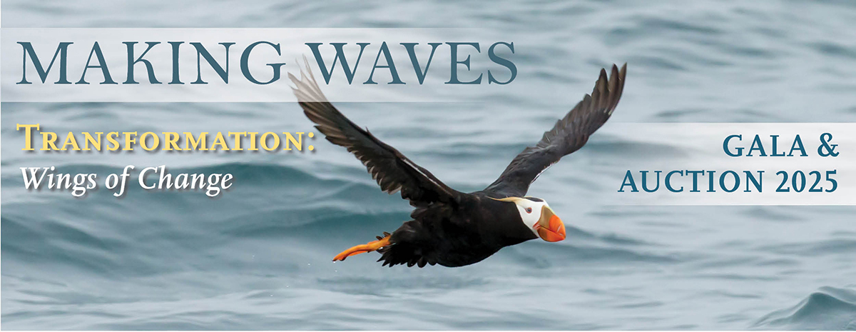 2025 Feiro Marine Life Center Making Waves